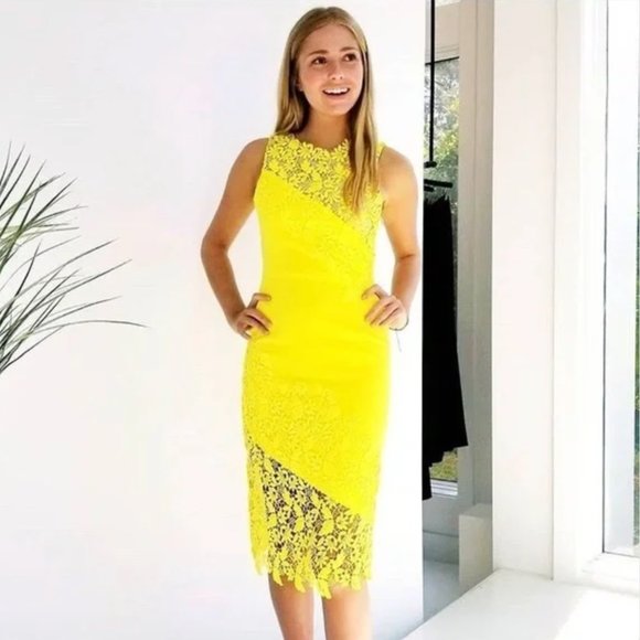 Alice and Olivia Margy Appliquéd Sheath Floral Lace Dress Yellow - Picture 2 of 9